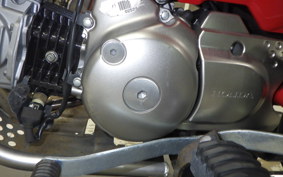 HONDA CT125 HUNTER CUB JA55