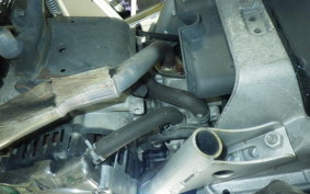 HONDA ZOOMER 2025 AF58