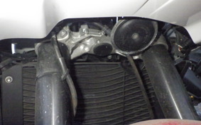 YAMAHA FZ1 FAZER 2009 RN21J