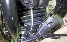 OTHER +UNREGISTERED MODEL by BDS250