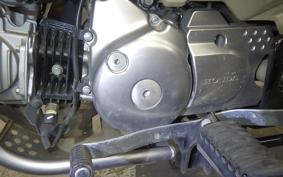 HONDA CT125 HUNTER CUB 2025 JA55