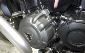 TRIUMPH TIGER1200GTEX 2024