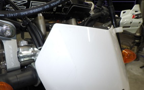 YAMAHA WR250X 2020 DG15J
