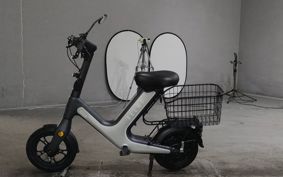 OTHER MINI BIKE ..