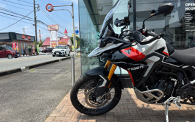 TRIUMPH TIGER 900 RALLY PRO 2025 TRC83D
