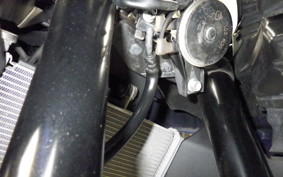 YAMAHA YZF-R25 2016 RG43J