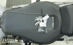 HARLEY FXBR1920 2024