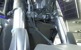 YAMAHA MT-07 2022 RM33J