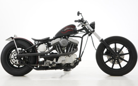 ROAD HOPPER PRO TO TYPE 1 2005