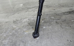 BMW G310GS 2024