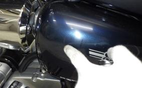KAWASAKI W800 2016 EJ800A