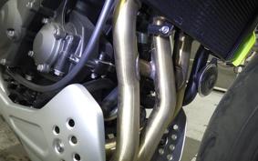 TRIUMPH TRIDENT 660 2025