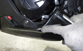 KAWASAKI NINJA 1000SX 2021 ZXT02K
