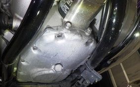 KAWASAKI W800 2019 EJ800B