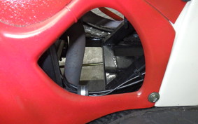 OTHER UNREGISTERED MODEL by BDS TRIKE250 2024