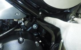 TRIUMPH SCRAMBLER 400X 2025