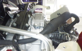 HONDA C110 SUPER CUB JA59
