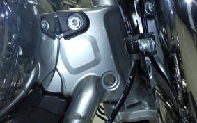 HARLEY FLSTFI1920 2025