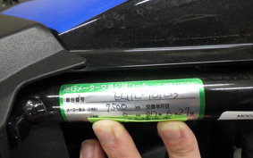 SUZUKI Vｽﾄﾛｰﾑ250SX 2014 EL11L