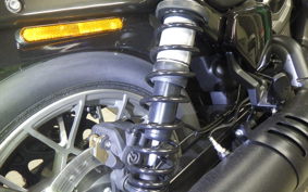 HARLEY RH975S 2025
