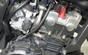 HONDA HORNET 250 2014 MC31