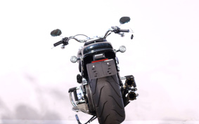 HARLEY FLFBS 2023 YGK