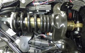 HARLEY FXST1750 2024