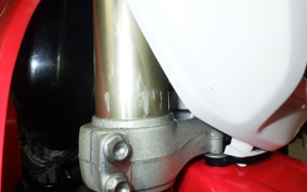 HONDA XR-250 GEN 2 2012 MD30