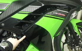 KAWASAKI NINJA 250 EX250L