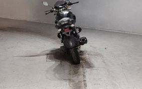 YAMAHA FZ250 RG42