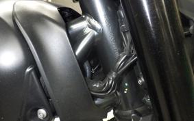 DUCATI SCRAMBLER ICON 2021