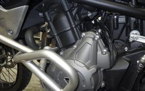 TRIUMPH TIGER 900 RALLY PRO 2022