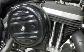 HARLEY XL883N 2017
