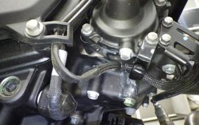KAWASAKI ELIMINATOR400-3 2023 EL400A