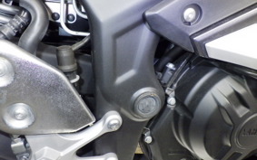 YAMAHA YZF-R3 2020 RH13J