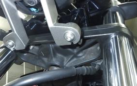 HONDA REBEL 250 2024 MC49