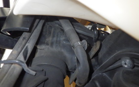 HONDA C110 SUPER CUB JA42