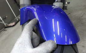 HONDA HORNET 250 2011 MC31