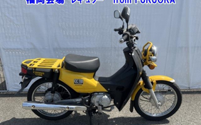 OTHER CC110