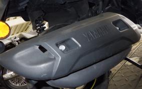 YAMAHA CYGNUSRAYZR 2009