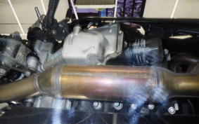 KAWASAKI NINJA 250 2016 EX250Y