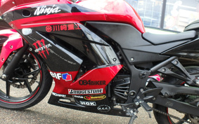 KAWASAKI NINJA 250R EX250K