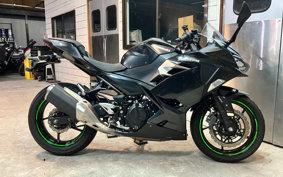 KAWASAKI NINJA 250 EX250P