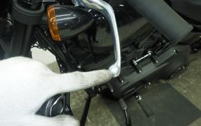 HARLEY FXLRS1920 2025