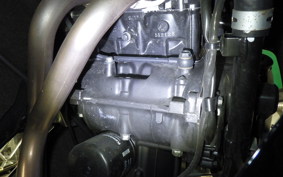 KAWASAKI NINJA 250 ABS 2024 EX250L