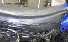 YAMAHA TW200 2021 2JL