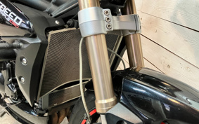TRIUMPH SPEED TRIPLE 2013 TPN105