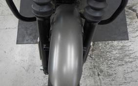 HARLEY XL883N 2018