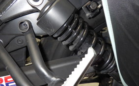 HONDA REBEL 250 2024 MC49