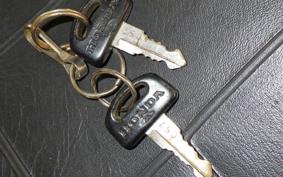 HONDA C50 SUPER CUB E 2015 C50